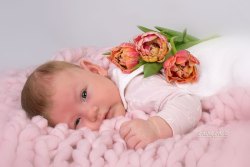 phinephoto-berlin-babyfotograf