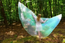 phinephoto-berlin-outdoor-wald-koepenickfotograf